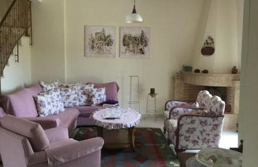 Eva's cottage Kastelli Pediados - Foto 19