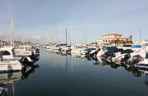 OLIVA HOLIDAYS 2 - Photo 25