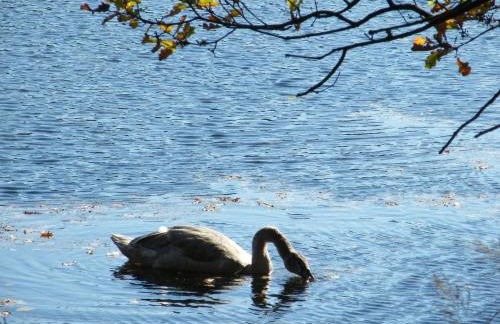 Resort "Schloss Reinharz" - Foto 8