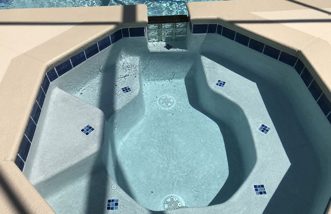 Dolphin's Retreat Near Disney - Photo 40