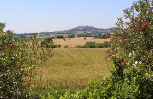 Villa Belvedere degli Ulivi - Foto 126