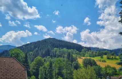 Am Sommerrain - Foto 34