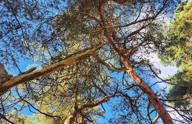 5 Person Holiday Home in Haltorp-by Traum - Foto 14