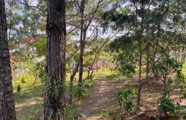 Vila Violeta - Photo 23