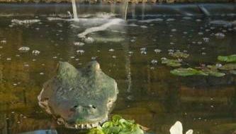 Best of My Love - CA King Size Bed+ - Sleeps 2-4 - Foto 4