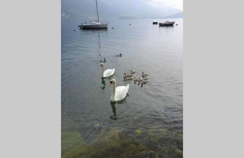 Appartamento vista Lago - Mary - Foto 28