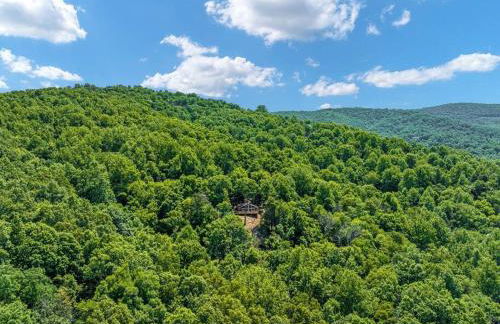 Forest Ridge Cabin - Hot Tub, Wi-Fi, National Park 15 Min, Fire Pit - Foto 29