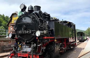 Waldhaus zur Kleinbahn - Foto 10