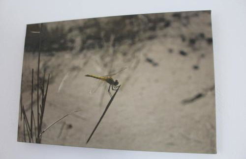 Lo Segador - Foto 10