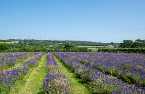 1 Bed in Helston oc-41377 - Foto 16