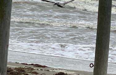 Pelican Hideaway - Foto 11