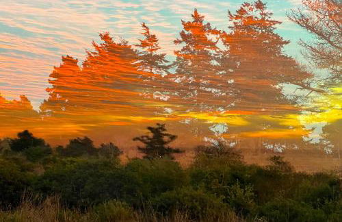 Wild Meadow - Foto 37