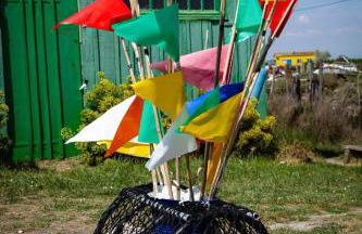 Pomme de Pin et Mimosa - Foto 31