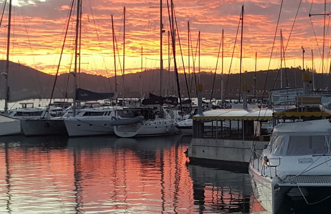 Experience Nature at Brenton on Sea With Breakers Dolphins and Whales - Foto 30