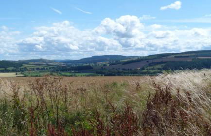 Willow Cottage - Foto 25