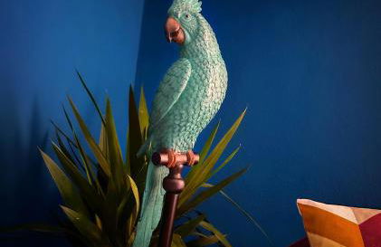 Piccoli Sogni - Foto 8