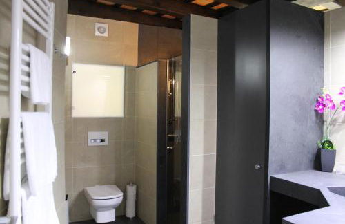 Apartaments y Habitacions Entre Volcans - Foto 76