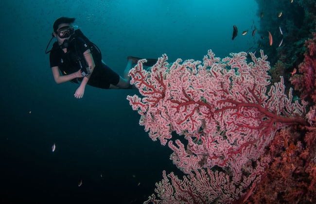 Mango House Seafront Suites And Villas - Foto 36