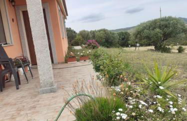 agriturismo gli olivastri, appartamento la rosa dei venti con piscina e solarium , vista mare ,climatizzatore ,wifi - Foto 8