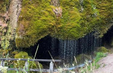 Ferienhaus Waldblick - Photo 63