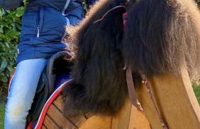 Ferienwohnung Rantum - Foto 26