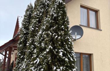 Wiśniowy Sad - Foto 47