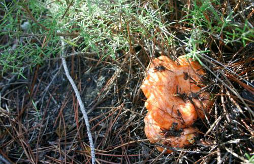 Casa Valle del Hontanar - Foto 23