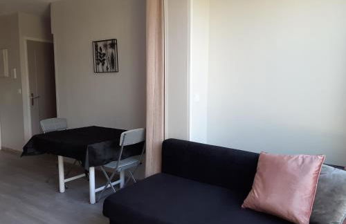 T2 Bord de mer avec jardin et piscine - Foto 21