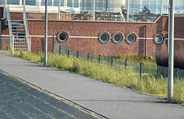 Nordseeküste am Deich mit schönem Garten - Foto 43