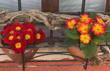 Le Ortensie Lago di Garda - Foto 34