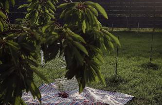 Holiday house - Anima - Foto 56