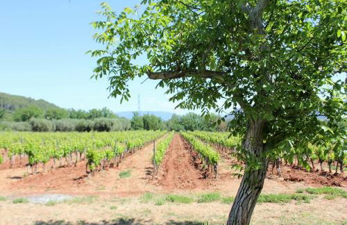 Private Pool in Provence - Foto 26