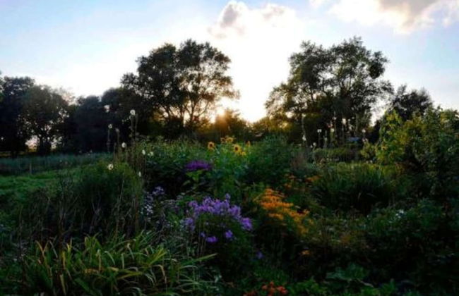 Geraeumige Ferienwohnung in Boddin mit Garten - Foto 26