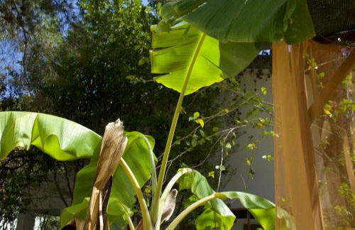 Case e Appartamenti Vacanze a Bivona - sul mare - Foto 73