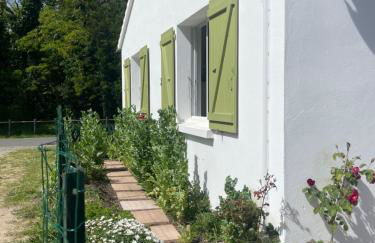 La Maison des Pins - Photo 11