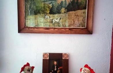 El Olivar de Albarizas Casa rural para grupos - Foto 26