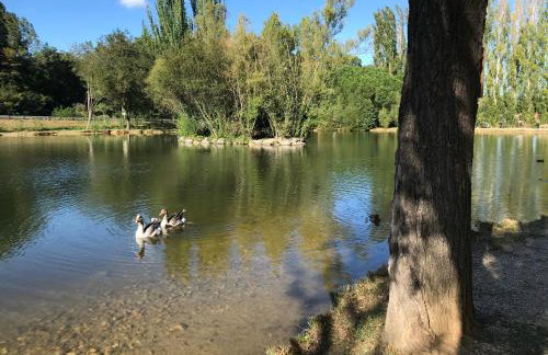 Pavillon de Diane - Photo 44