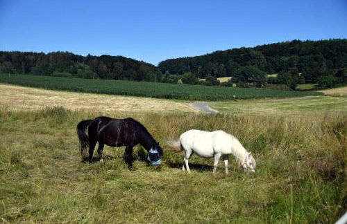 Loft Ziegelei - Foto 38