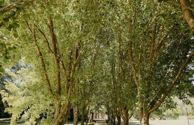 Losari Retreat - Foto 60