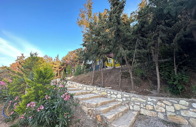 Sole Foca ( Ages 12+ ) - Foto 62