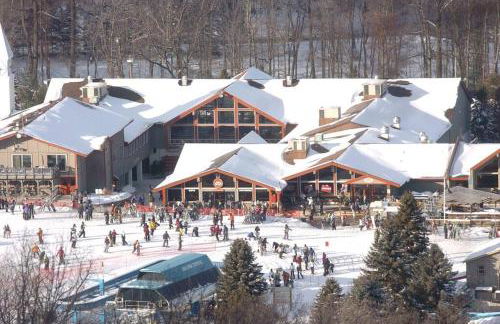 Nature’s Haven:4 br/2.5 bath, game room & Fire pit - Foto 26