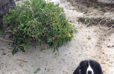 Make It Happen Farm - Photo 62