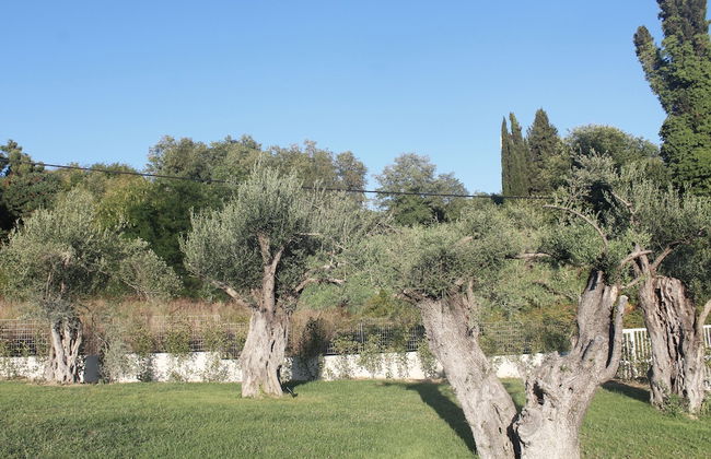 Stablo Residence Corfu - Foto 41