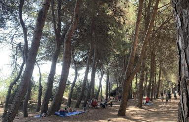 Alloggio Vista Mare - Parcheggio Gratis - Photo 28