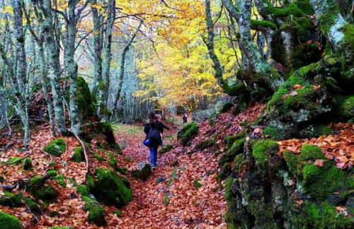 Dúplex El refugio de Porma - Foto 39