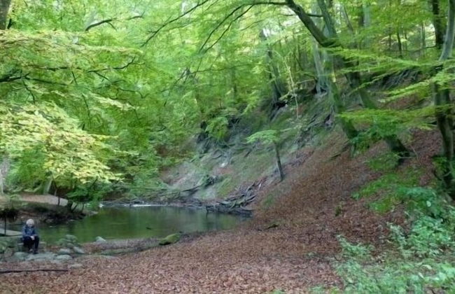 Køge Bed and Kitchen-Apartment - Foto 23