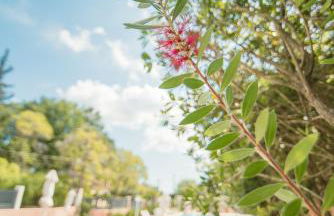 Dominoes Corfu - Foto 51