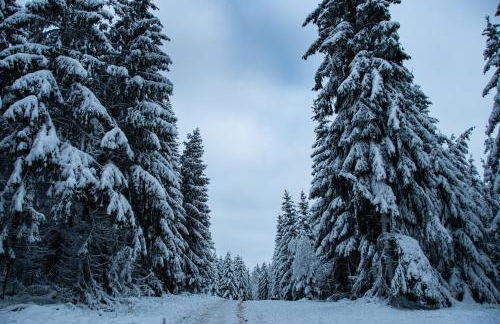 Alt Monjoie - Foto 30