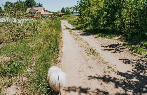 Rajski Domek nad Jeziorem Radacz - Foto 13