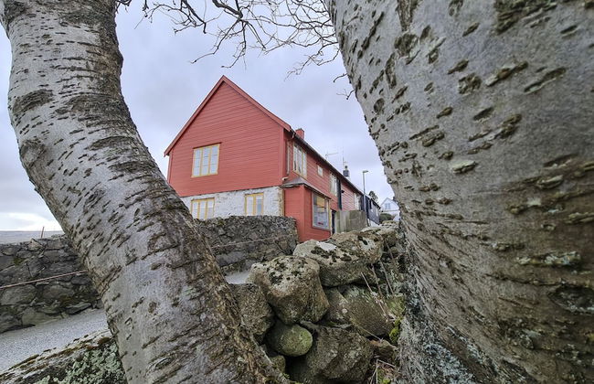 Downtown - Jørgen-Frantz - Marina - Foto 36